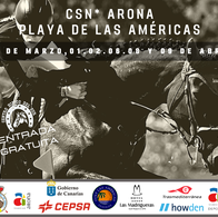 Concurso Nacional de Saltos Hípica Arona – Playa de Las Américas (CSN*)